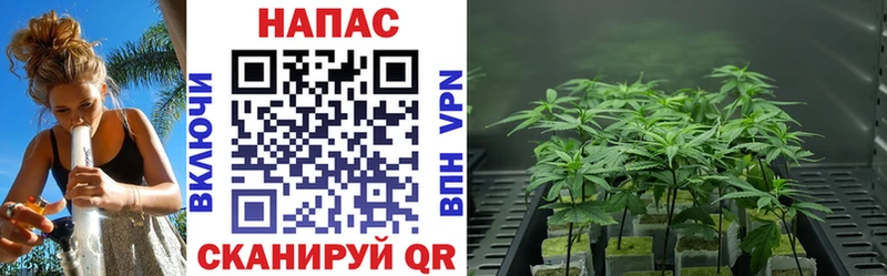 Купить закладку Гашиш  Кокаин  Меф мяу мяу  Орёл