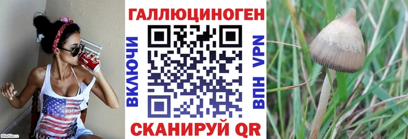 Галлюциногенные грибы Psilocybe  Купить  Орёл